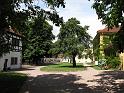 Hoflößnitz (5)
